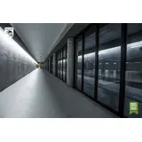 CorePro LEDtube 1200mm 14.5W865 Świetlówka LED