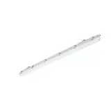 Oprawa hermetyczna Ledinaire WT065C 53/30W 4100/6800lm IP65 4000K barwa neutralna LED41_68S/ 840 PSU
