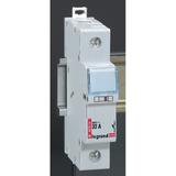 Rozłącznik Bezpiecznikowy Cylindryczny 1P 8,5x23Mm Rb310 005810 LEGRAND