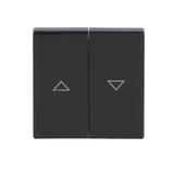 CARAT/FUTURE  Klawisz z nadrukiem Do wyłącznika/przycisku żaluzjowego antracyt