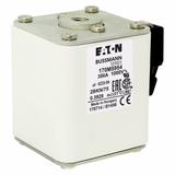 FUSE 350A 1000V 2BKN/75 AR UR Wkładka szybka 350A AC 1000V rozmiar 2 59x77x75 mm aR IEC UL 170M5954