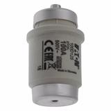 FUSE-D4 100A T GL/GG 500VAC Wkładka DIV 100A T GL/GG 500VAC E125 100D125 EATON