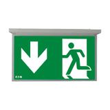 NexiTech LED opal szyba strzałka w dół / strzałka w dół 30m ISO7010 NEXI-PLEXO-DD EATON