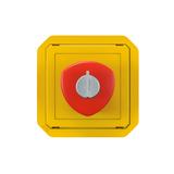 NOWE PLEXO - PRZYCISK WŁĄCZENIA AWARYJNEGO NA KLUCZ MECHANIZM 3 A - 250 V 069548L LEGRAND
