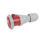 GNIAZDO PRZENOŚNE 125A 3P+Z 415V~ IP 66/67, Legrand