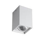 GORD XS DLP-50-W Oprawa sufitowa natynkowa GORD XS DLP-50-W regulowana kolor biały 1XGU10 25477 KANLUX