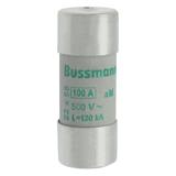 C22M100S Wkładka cylindryczna z wybijakiem 22x58 100A GG 500V AC C22M100S EATON