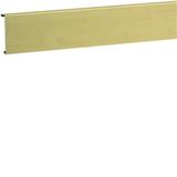 tehalit.SL Pokrywa 20x80 klon SL200802D3 HAGER