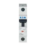 FAZ-K16/1 Wyłącznik nadprądowy 10kA K16A 1P 278599 EATON
