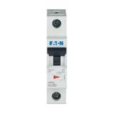 FAZ-C2/1 Wyłącznik nadprądowy 15kA C2A 1P 278549 EATON