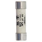 5A 250V AC 14x51mm S/COND FERRULE FUSE Wkładka szybka 5A AC 250V DC 250V 14x51 mm aR UL FWX-5A14F EA