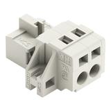 MCS-MIDI Classic wtyk 2-bieg. j-szary raster 5 mm /100szt./ WAGO