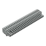 MCS-MIDI Classic gniazdo 24-bieg. szare raster 5 mm /10szt./ WAGO