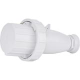 63A 400V 3P+PE Wtyczka IP67 EVH 6343 004482030 ETI