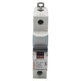Wyłącznik Nadprądowy S 301 1P C40A 6kA DX3 407674 LEGRAND