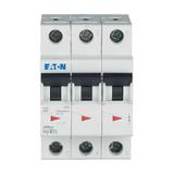FAZ-K1/3 Wyłącznik nadprądowy 10kA K1A 3P 278902 EATON