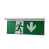 NexiTech LED opal szyba strzałka w dół / strzałka w dół 20m ISO7010 NEXI-PLEXO-20-DD EATON