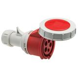 gniazdo przenośne 32A 5P IP67