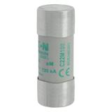 CYLINDRICAL FUSE 22 x 58 100A AM 500V AC Wkładka cylindryczna 22 x 58mm 100A AM 500V AC C22M100 EATO