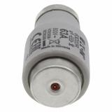 FUSE-D2 63A F GR 500VAC E33 Wkładka DIII 63A F GR 500VAC E33 63D33R EATON