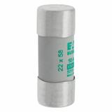CYLINDRICAL FUSE 22 x 58 10A AM 690V AC Wkładka cylindryczna 22 x 58mm 10A AM 690V AC C22M10 EATON