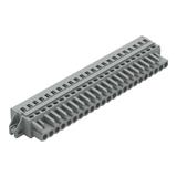 MCS-MIDI Classic gniazdo 23-bieg. szare raster 5 mm /10szt./ WAGO