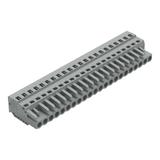 MCS-MIDI Classic gniazdo 22-bieg. szare raster 5 mm /10szt./ WAGO