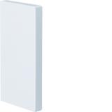 tehalit.BRP Końcówka 65x130 biały BRP6513069016 HAGER