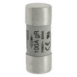 100A 690V AC gR 22X58mm FUSE W/O STRIKER Wkładka szybka 100A AC 690V 22x58 gR IEC UL FWP-100G22F EAT