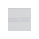 CARAT/FUTURE/SOLO/AXCENT  Klawisz z polem opisowym Z pryzmatem do równomiernego podświetlenia opisu