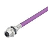 SAIE-M12B-PB-0.5U HW Złącze okrągłe, do wbudowania (z kablem), nr katalogowy 1279480050