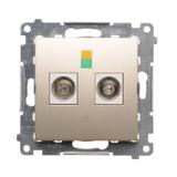 Simon 54 Gniazdo ekwipotencjalne podwójne złoty mat