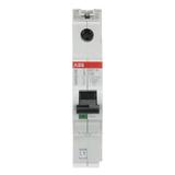 S401M-C25 wyłącznik nadprądowy SMISSLINE 2CCS571001R0254 ABB