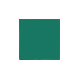 Simon 55 Klawisz pojedynczy do: SW1M SW6M SW7M SP1M Zielony