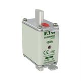 NH FUSE 100AMP 690V aM SIZE NH00 DUAL IND Wkładka NH00 100A 690V AM podwójny wskaźnik 100NHM00B-690