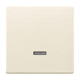 POKRYWA ŚCIEMNIACZA