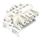 wielowtyk typu T Linect® /20szt./ WAGO