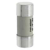 40A 690V AC gR 22X58mm FUSE W/O STRIKER Wkładka szybka 40A AC 690V 22x58 gR IEC UL FWP-40G22F EATON