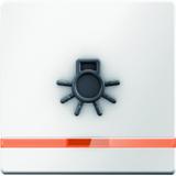 BERKER Q.x Klawisz z pomarańczową soczewką i wyczuwalnym symbolem światło biały aksamita 16516049 HA