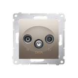 Simon 54 Gniazdo R-TV-DATA złoty mat