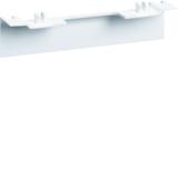 tehalit.SL Maskownica nośnika 20x55 fi60 biały SL20055AC9016 HAGER