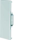 tehalit.BRS Końcówka 65x170 ocynkowana BRS651706VERZ HAGER