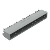MCS-MIDI Classic wtyk 11-bieg. czarny raster 5 mm /100szt./ WAGO
