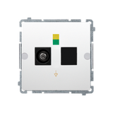 Simon BASIC WMUE-011000-1013 Gniazdo ekwipotencjalne pojedyncze (