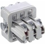 STA 6 F S WKŁAD MĘSKI