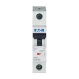 FAZ-K16/1 Wyłącznik nadprądowy 10kA K16A 1P 278599 EATON