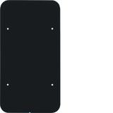 BERKER R.1 Sensor dotykowy 2-krotny szkło czarny 75142865 HAGER