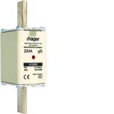 Wkładka bezp. nożowa NH1 wsk.podw. uchwyt nieiz. gG 224A 690 VAC LNH1224M6 HAGER