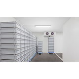 Oprawa hermetyczna Ledinaire WT060C 30W 3600lm 4000K LED36S/840 PSU TW1 L1200 BN 5 lat gw 9,11402E+11 PHILIPS