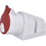 32A 400V 3P+N+PE Gniazdo stałe IP44 EZ 3253 004482039 ETI